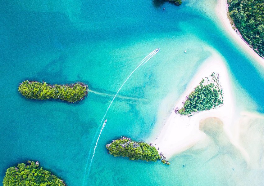 This Is The Perfect Travel Companion!